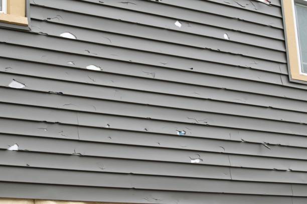 Best Construction Debris Removal  in Scottsville, NY