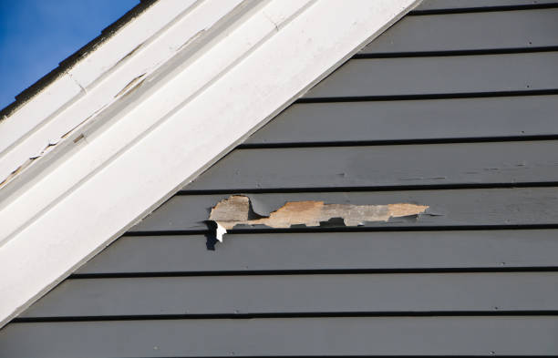 Best Hoarding Cleanup  in Scottsville, NY